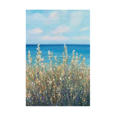 Tim OToole 'Flowers At The Coast I' Canvas Art,22x32